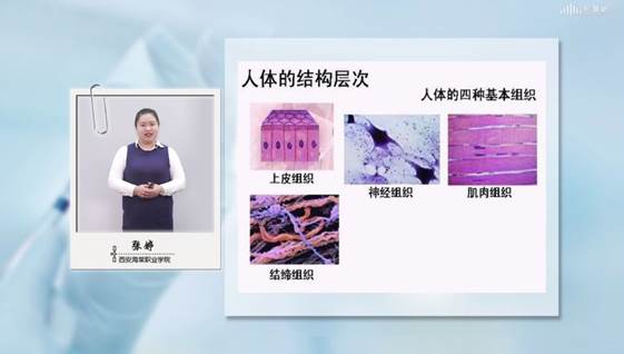 说明: C:\Users\Administrator\AppData\Roaming\DingTalk\103292504_v2\ImageFiles\8a\lADPDhYBOkjbSk_NAlXNBP4_1278_597.jpg